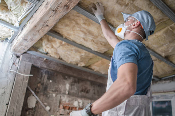 Best Insulation Contractors for Homes  in Jersey Village, TX